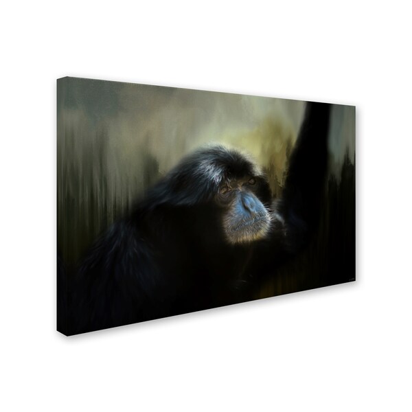 Jai Johnson 'Resting Siamang Ape' Canvas Art,22x32